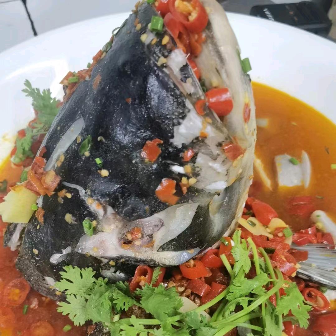 锅铲上的钢琴家