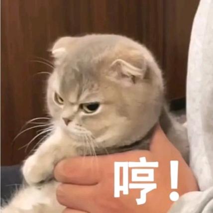 Top丶沧溟