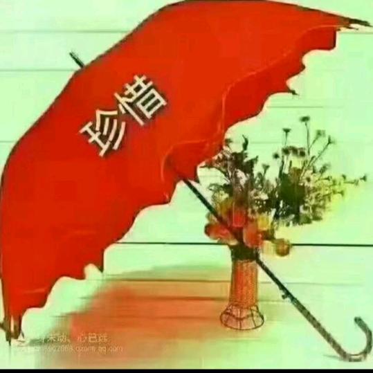 法律爱好