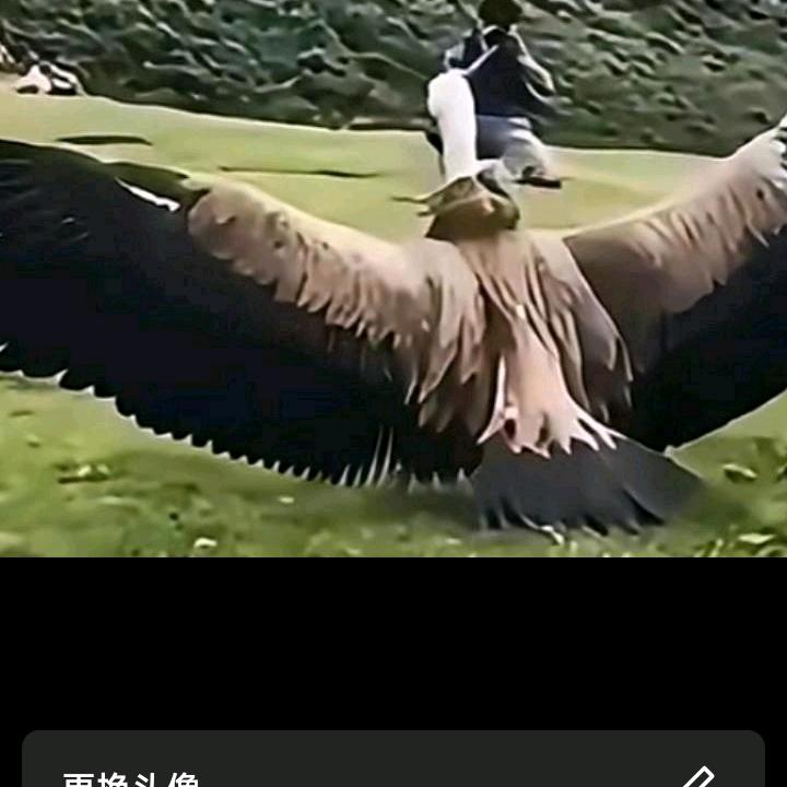叩叩哥