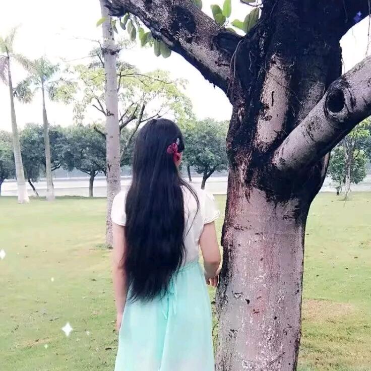 淡墨     晓晓慧