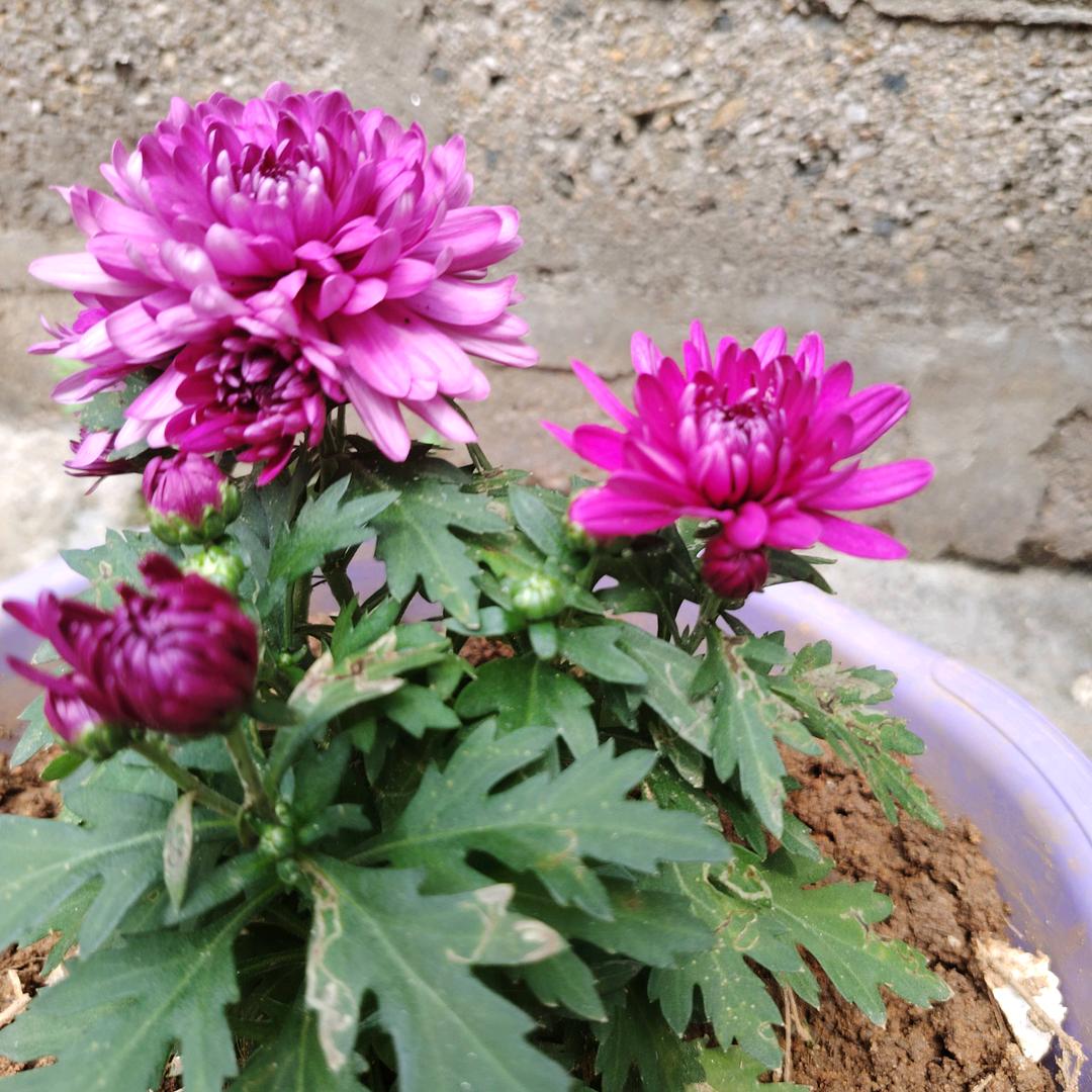 开心过好每一天