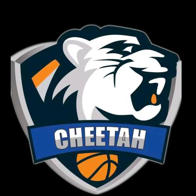桂林猎豹篮球THEETAH
