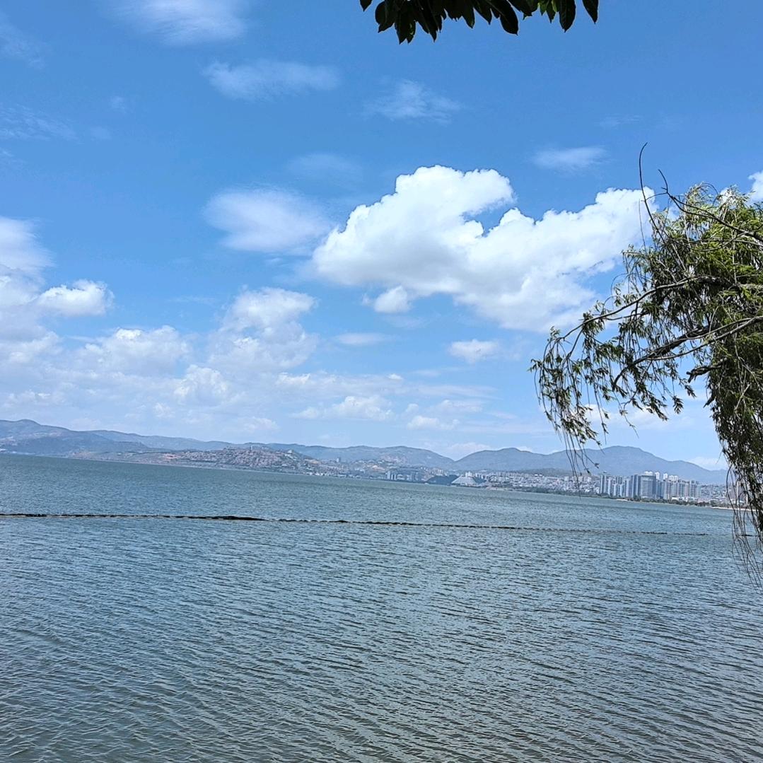 明明