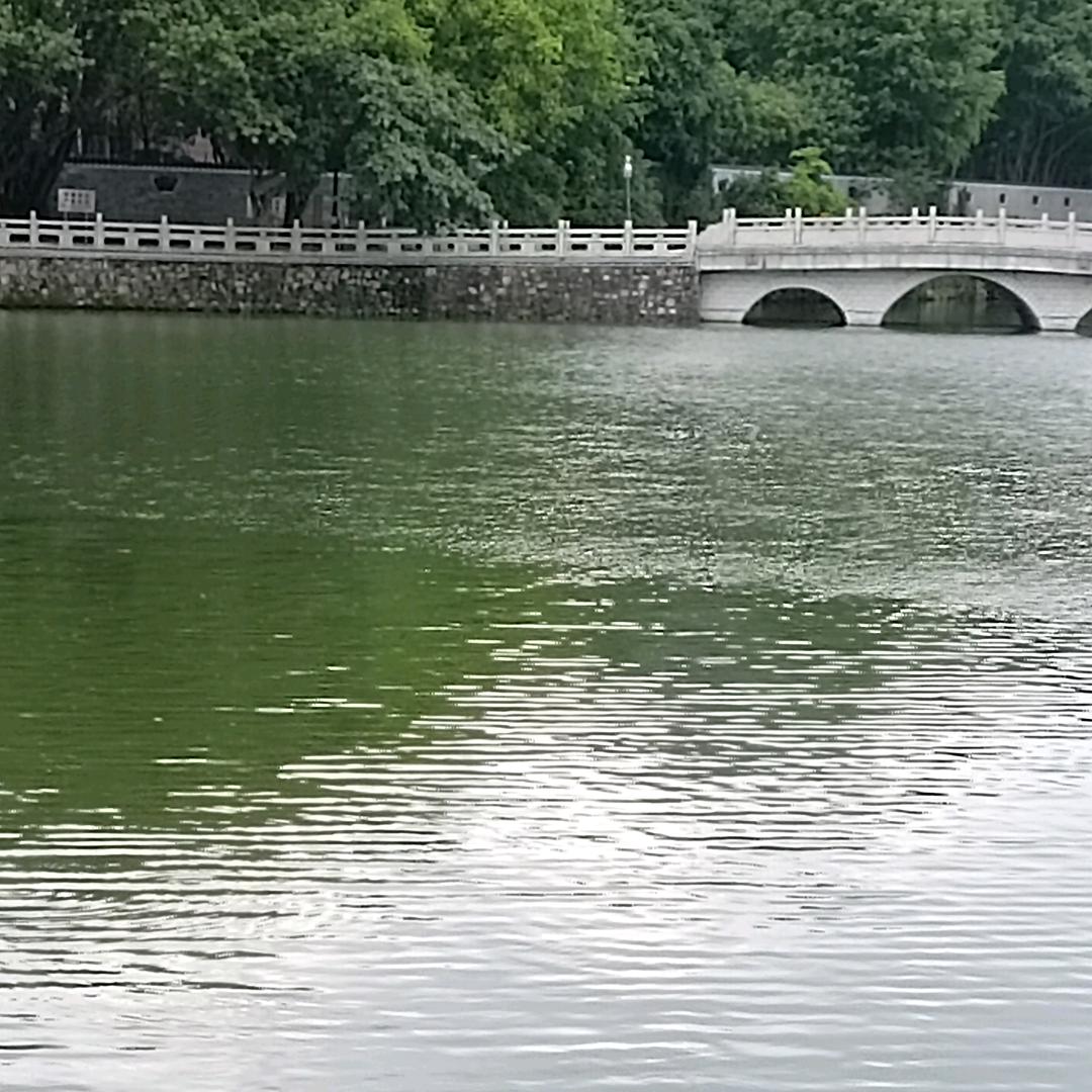 花花～