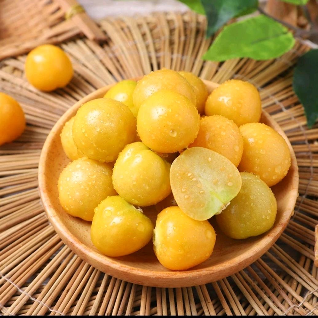 农鲜园优选