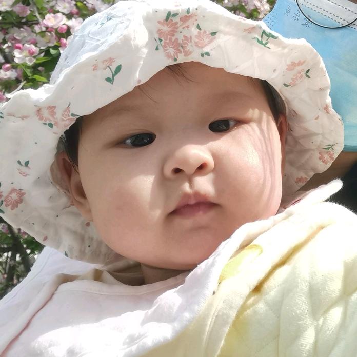 蜡笔小西
