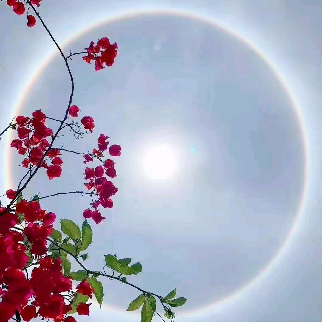 宽容