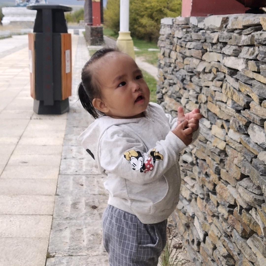 yi种期待