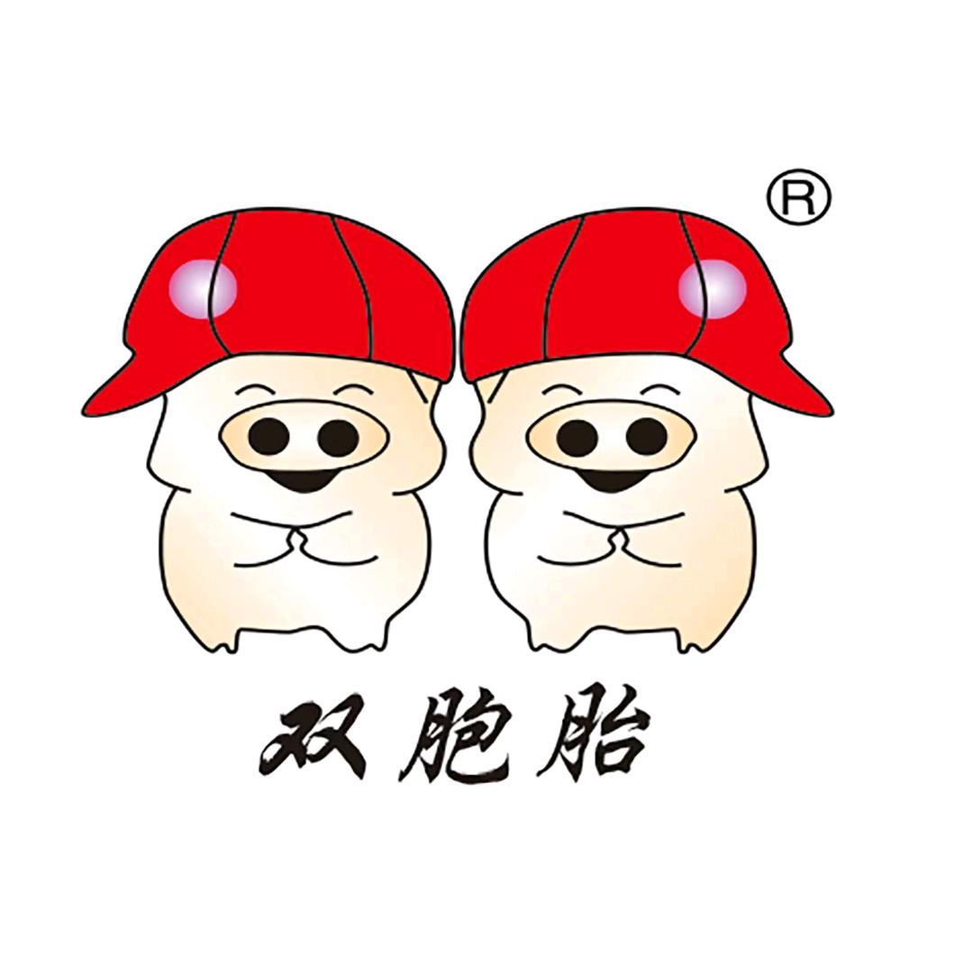 双胞胎（集团）股份有限公司招聘