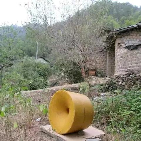 赖氏养蜂场