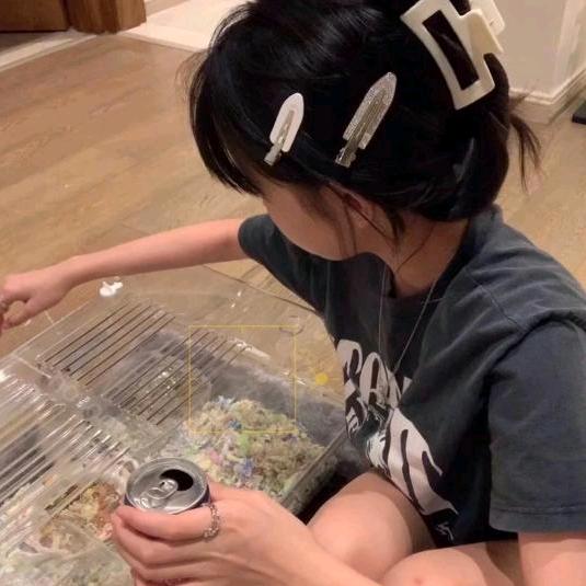 次姩春