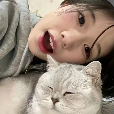 家霏猫🐱