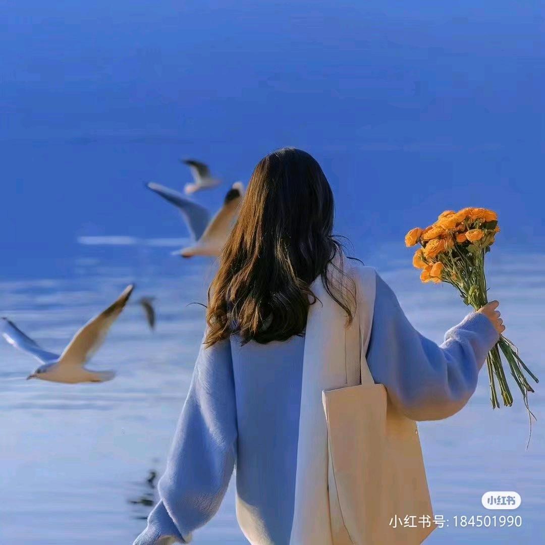 柠檬树下的阳光