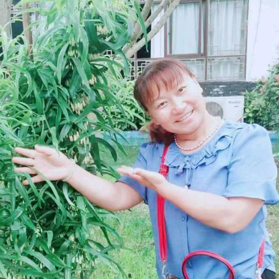 四川中药赵秀芬大号