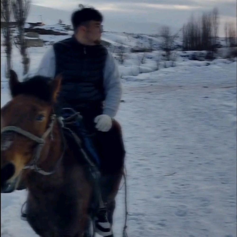 ﮼مەردان﮼伊犁马🐎