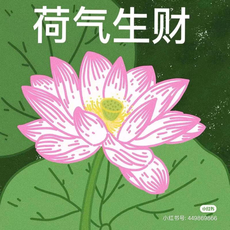 (闻喜)张大帅美缝