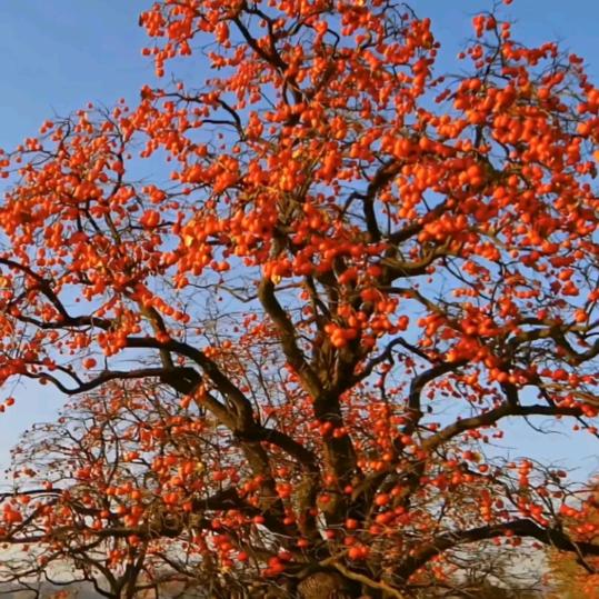 走向人生的最尖锋