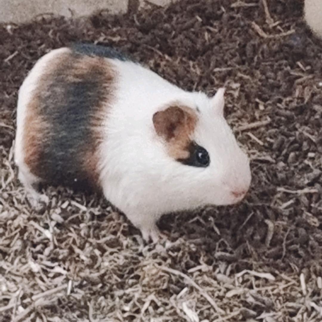 随！遇！而！安！