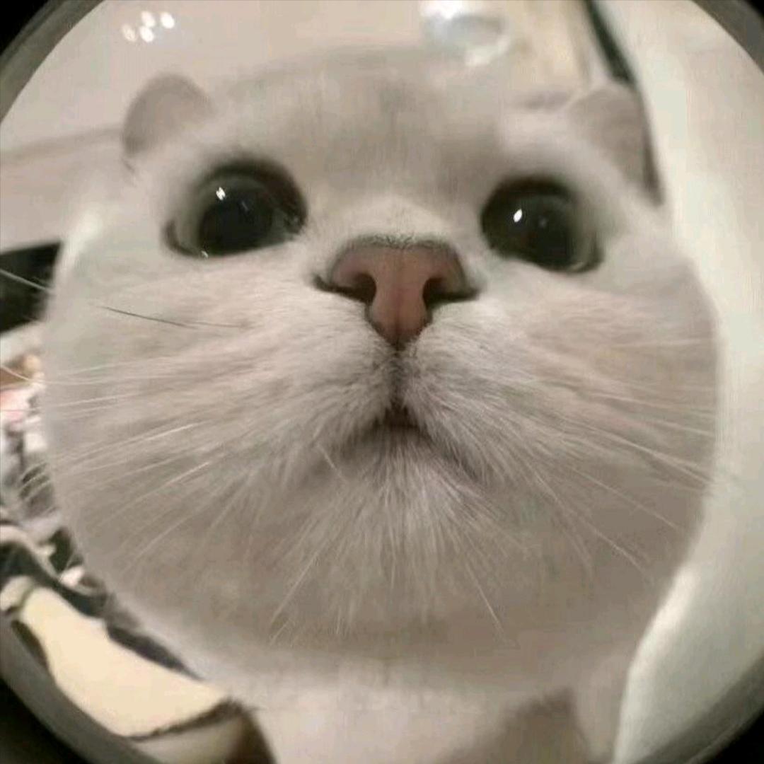 义游电竞35三角洲