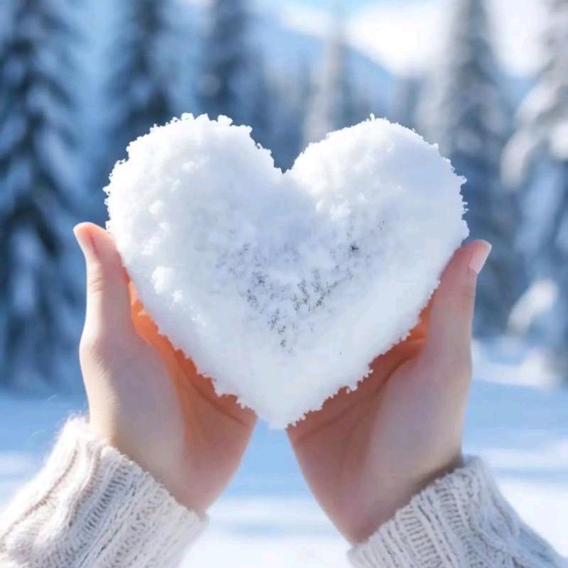 ❄️❄️飞雪❄️❄️