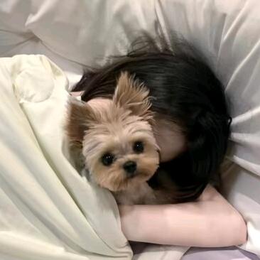 猛踹瘸子那条瘸腿