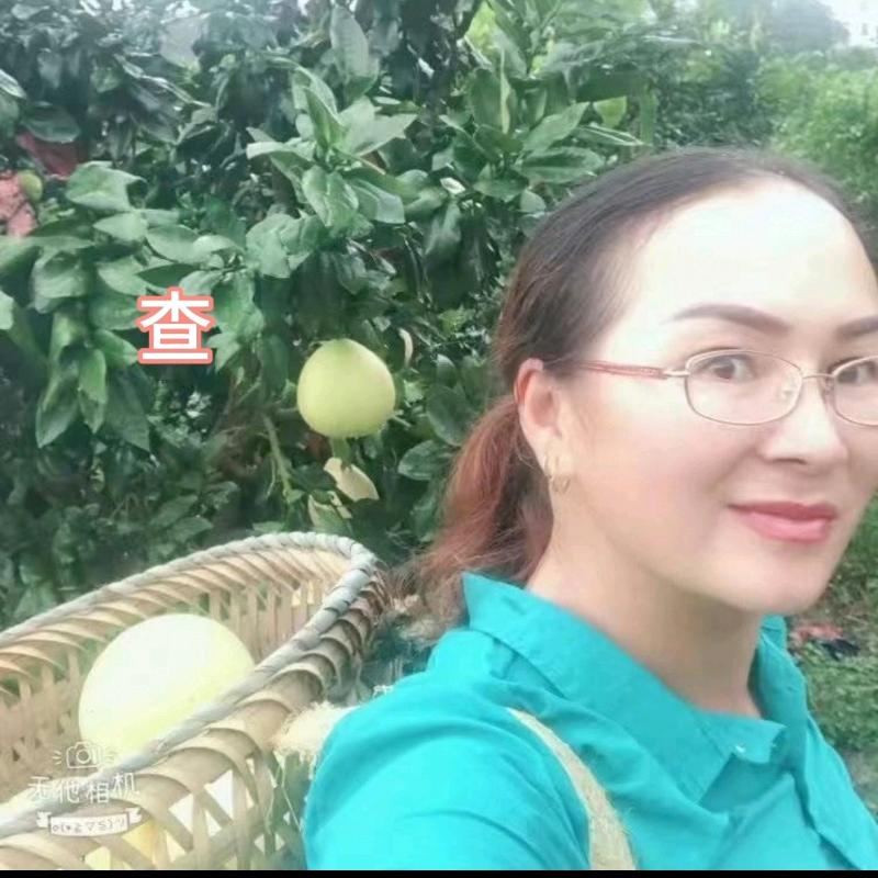 龙凤呈祥