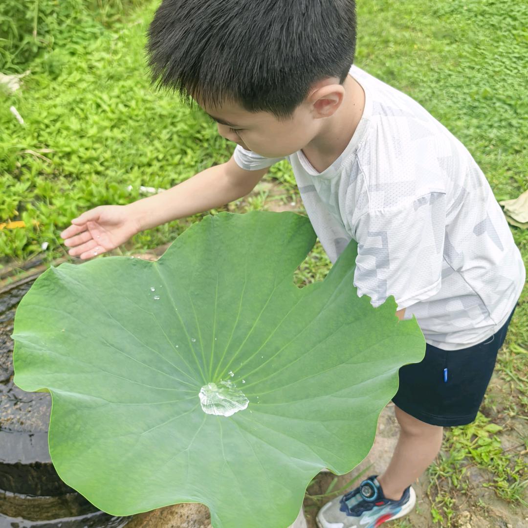 🌷🌷拐弯遇见你🌷🌷