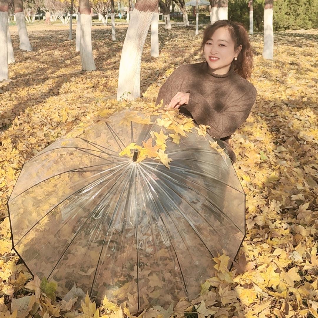 小马专业美缝