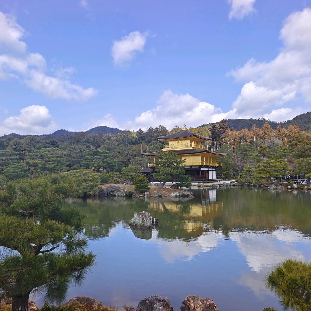 给你绿色舒适的光环境