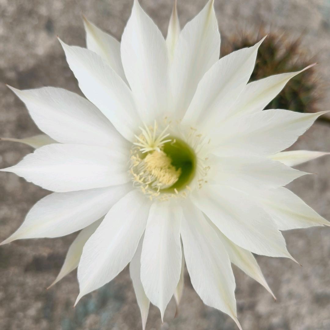 ✧＼輝／✧加油啊