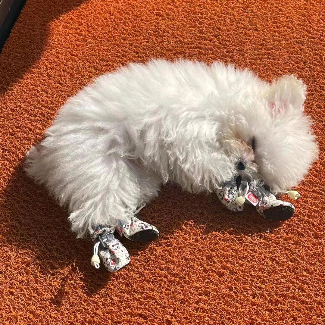 你的颜子