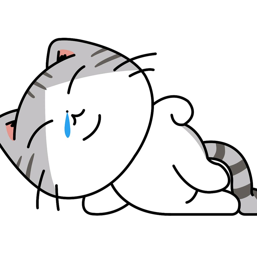 懒猫追剧