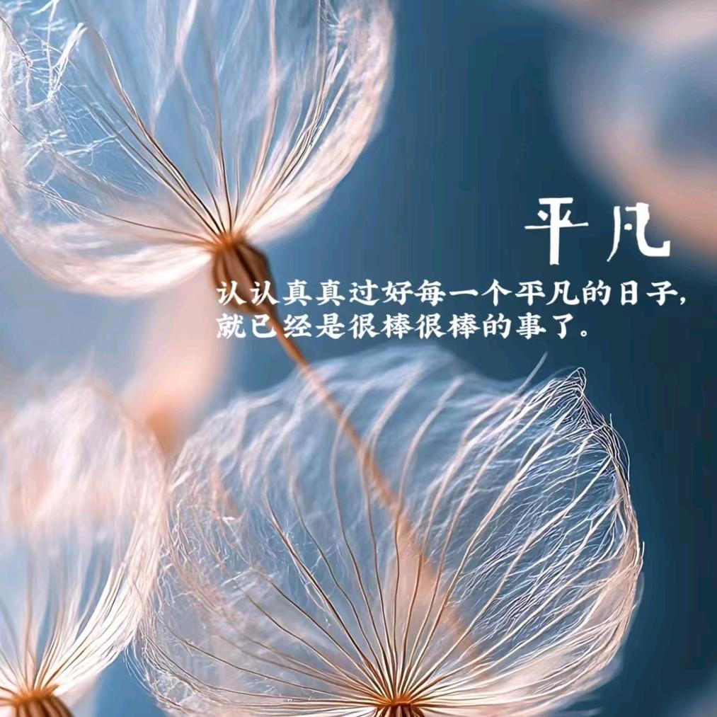 ♛余生随心❤️