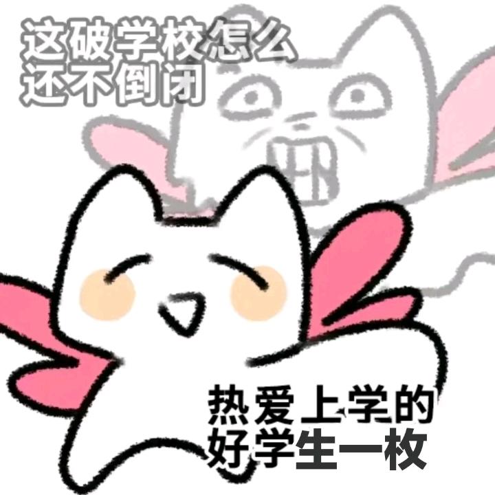 小优优🍉