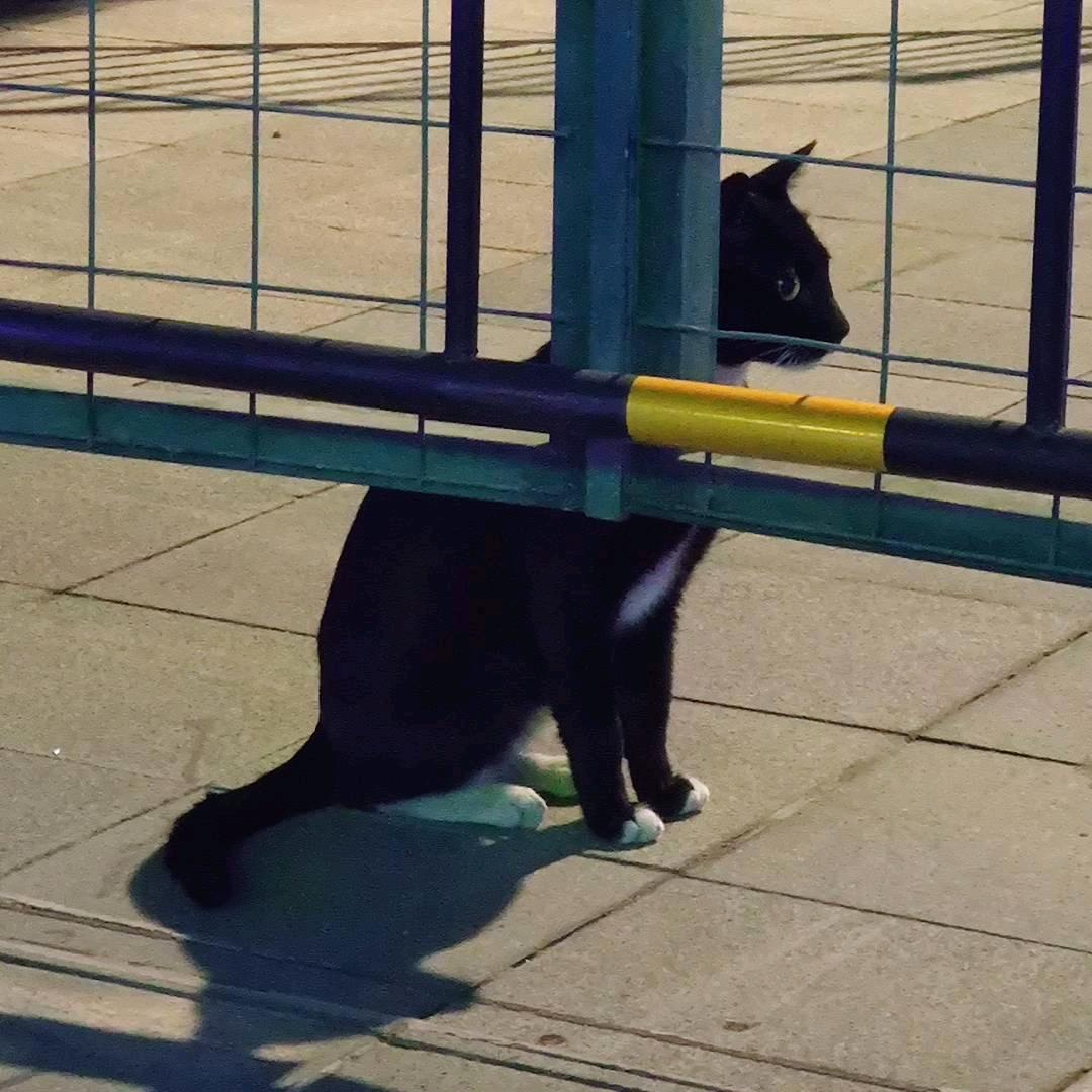 夸夸CruziL（待富中）