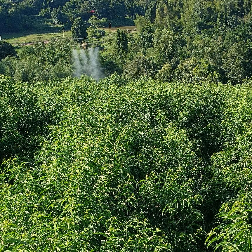 图为飞防助力店