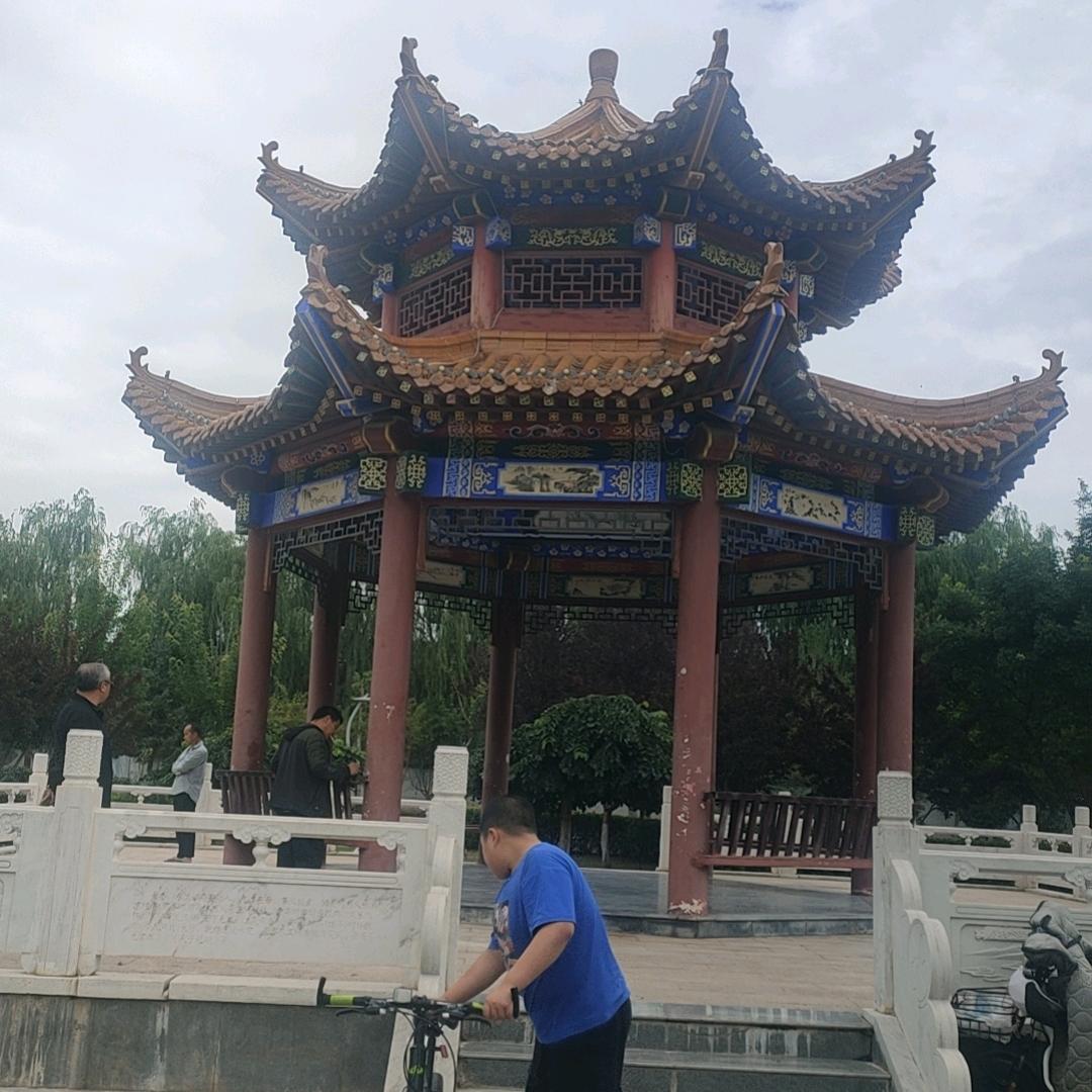 中华蜜蜂养殖