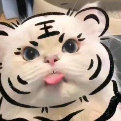 ㅤㅤㅤ暖阳
