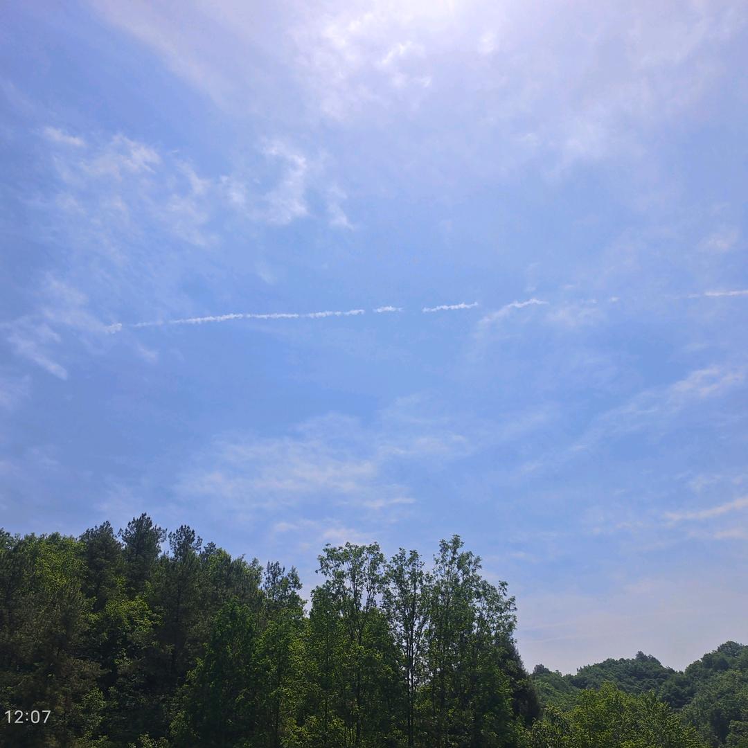 汉中仙毫/汉中绿茶（壹叶成茗茶业）