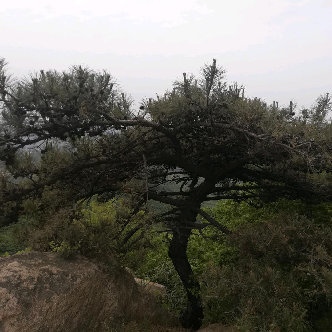 小镇艺园