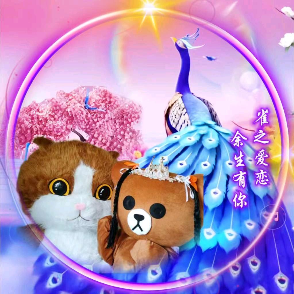 永康猫猫熊（小号户外）