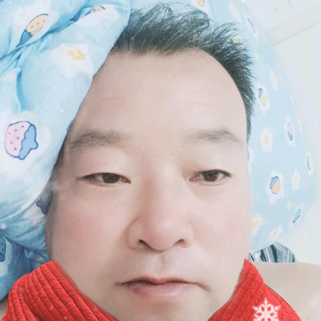 捉木鸟