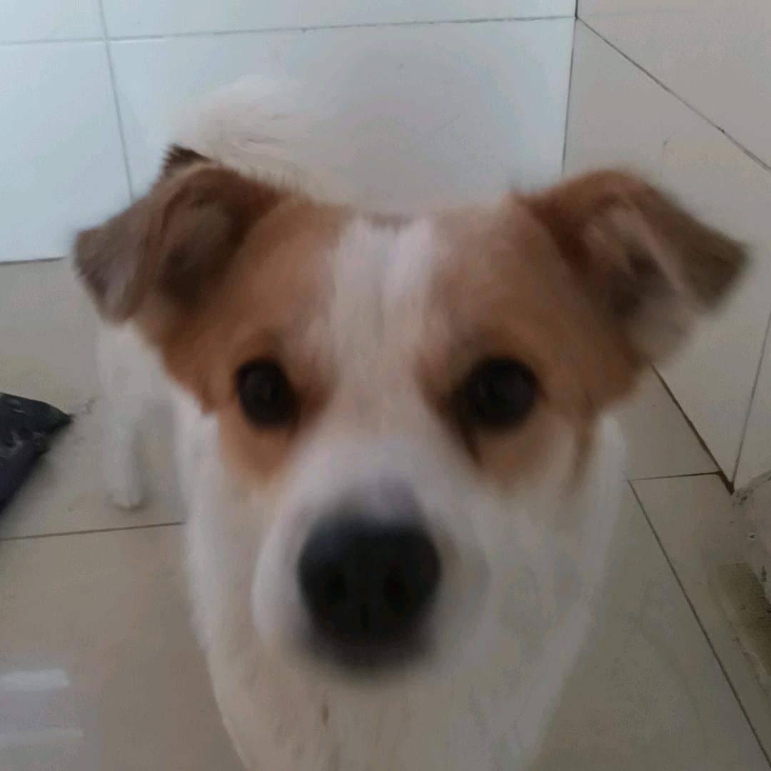 用户8028095514991❤❤