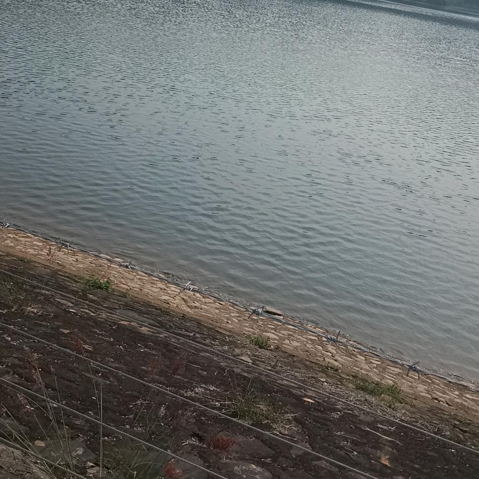 忘不了和你的曾经😭