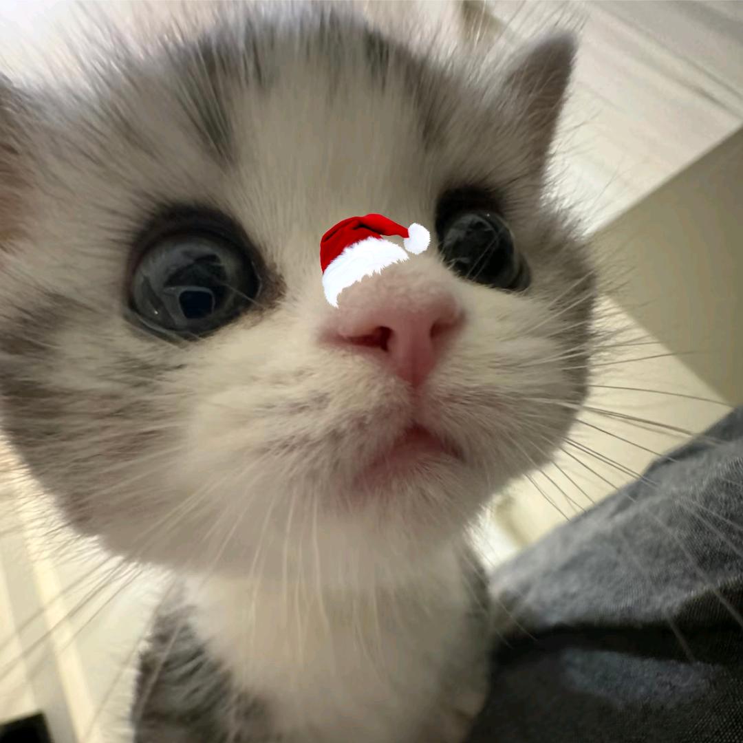 Yiovᐝ.