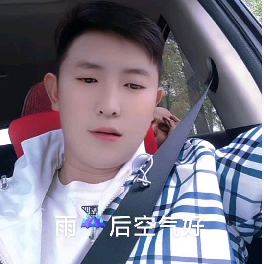 《杨》《公》《子》yzg