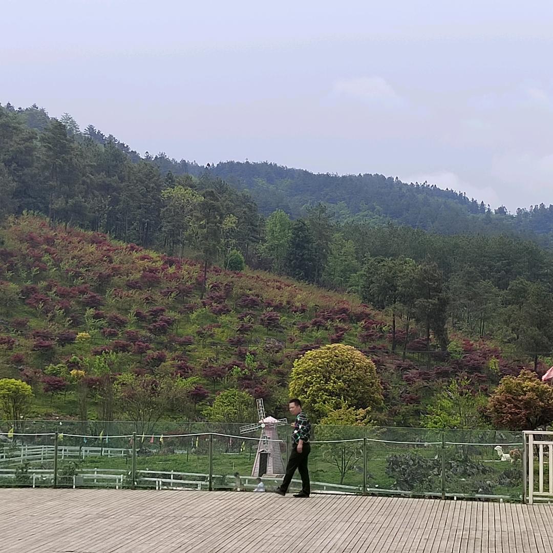 美丽家乡