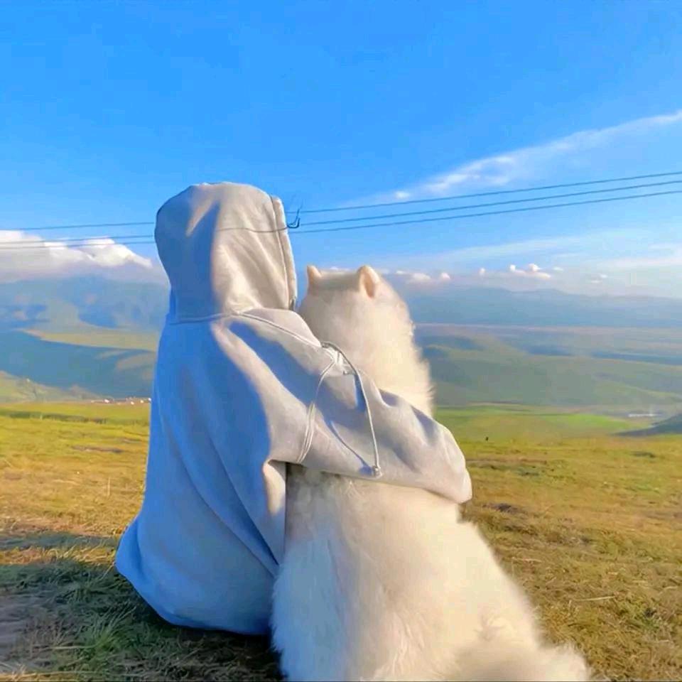 <(｀北窗寄梦^´)> 🛸