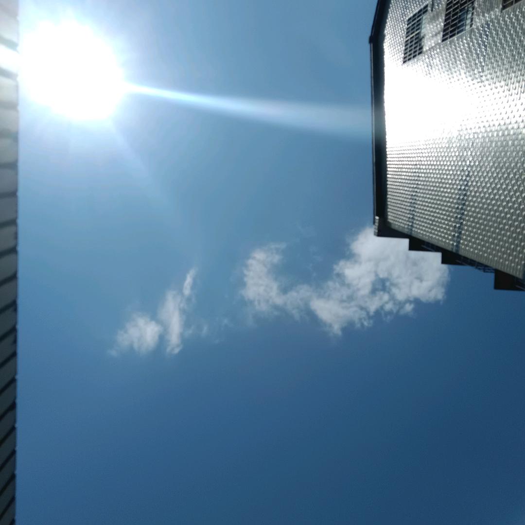 看